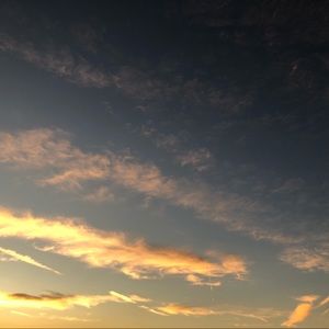 Meet your Posher, Isabella